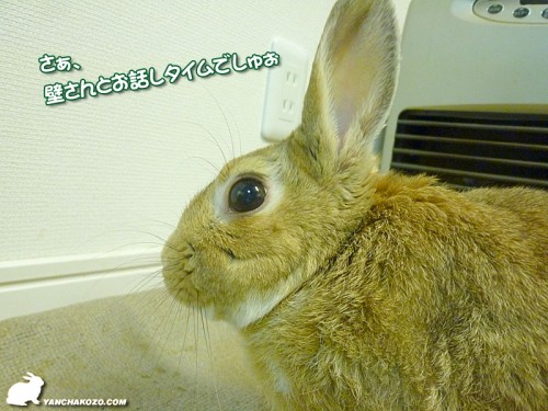 さ、壁さんと・・・