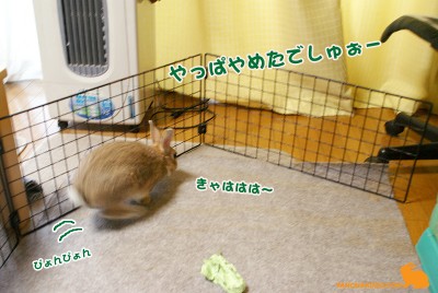 やっぱやめた