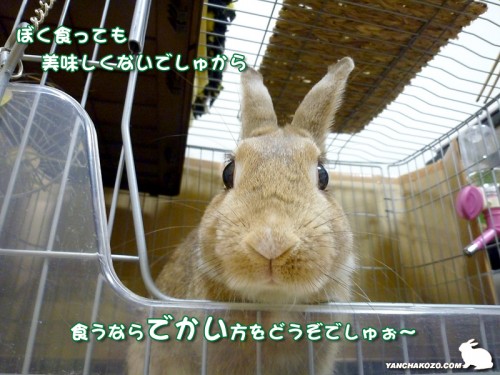 食っても美味くない！