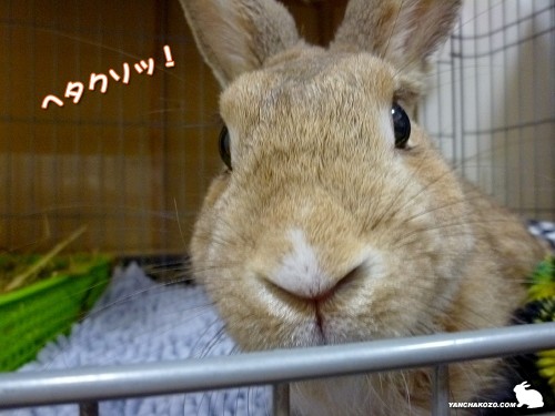 ヘタクソ!