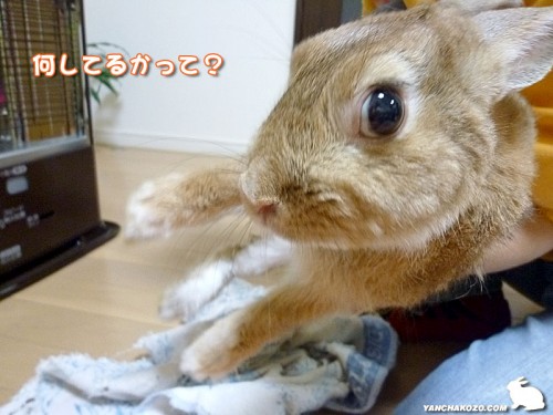 何をしている?