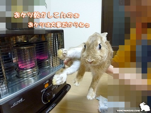おケツ乾燥中