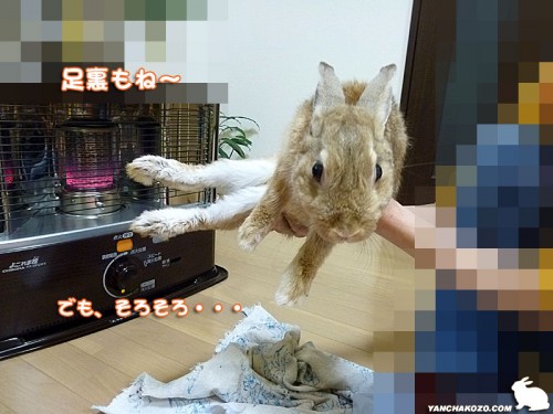 足裏も