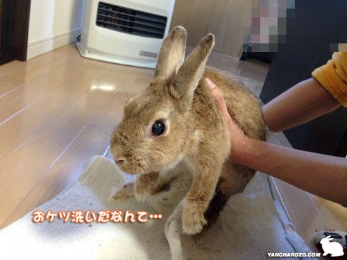 おケツ洗いだなんて
