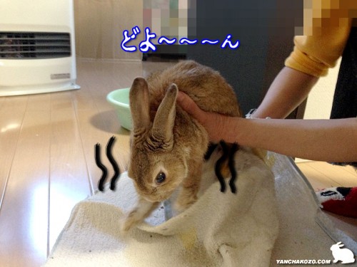どよ~ん