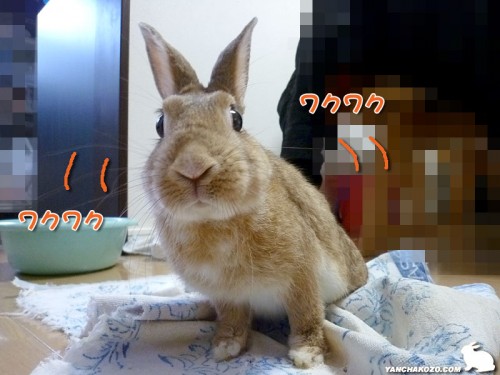 ワクワク待ってるよ