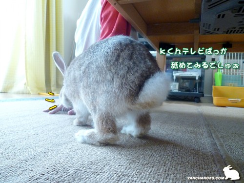 舐めてる隙に・・・
