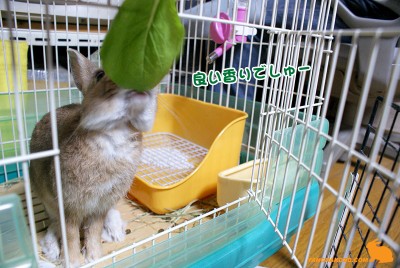 良い香りでしゅー