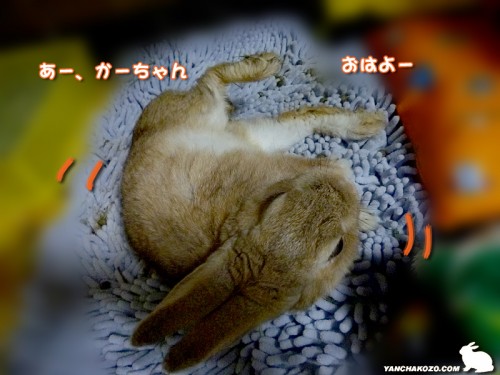 こんなんだけど、おはよー