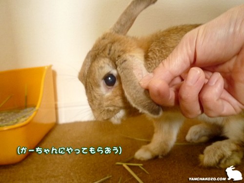 かーちゃんにお願い