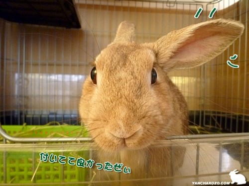 付いてて良かった