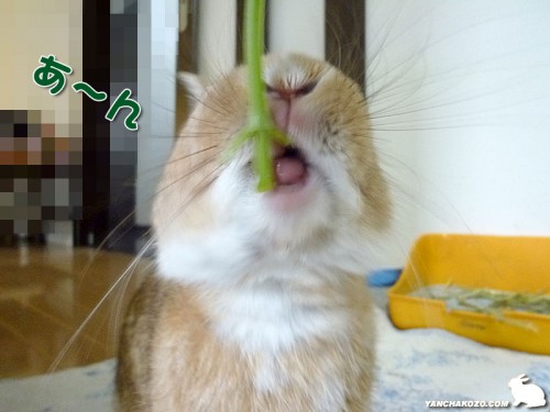 ちょこっぺあ～ん