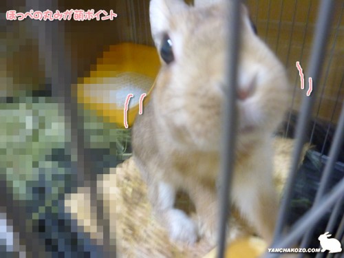 お目目チェック？