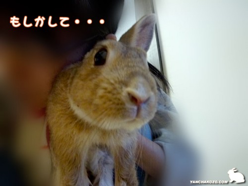 もしかして・・・
