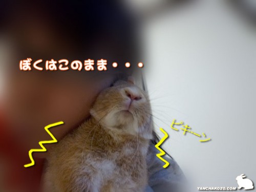 ぼくはこのまま