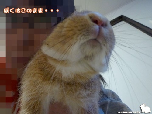 食われる？