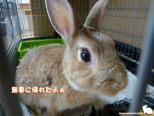無事に帰れた