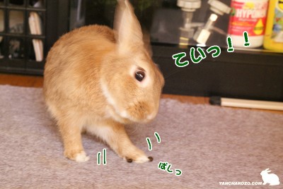 ていっ!
