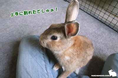 上手でしゅぉね