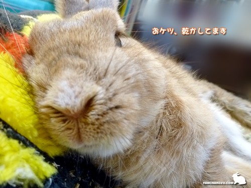 おケツを洗われたよ