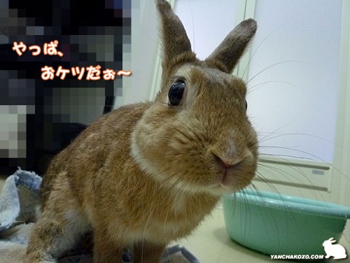 やっぱりおケツ