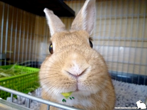 あとちょっと！