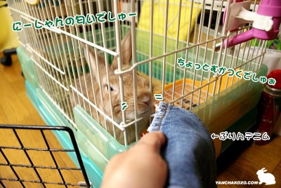 豹変ちょこっぺ