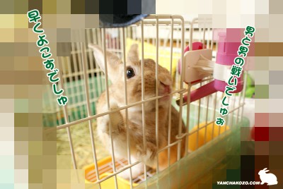 男と男の戦いでしゅ