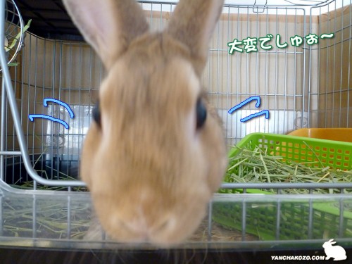 大騒ぎ!