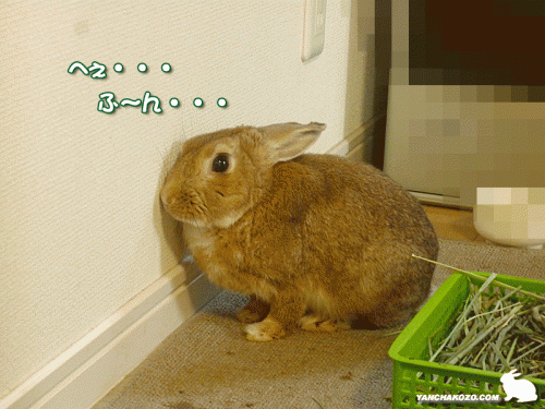 へぇ、ふ~ん