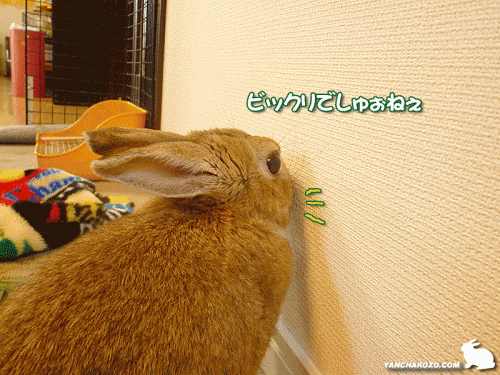 ビックリ!