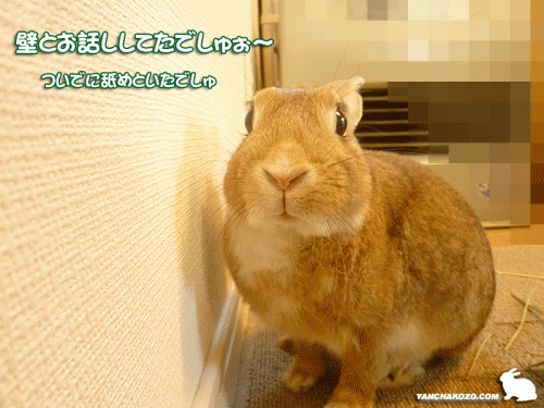 壁とお話し