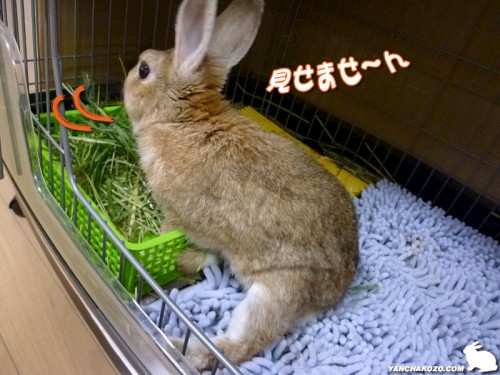 見せませ~ん