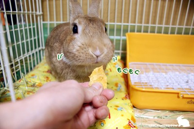 もぐもぐ