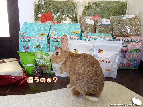 違うのぉ？