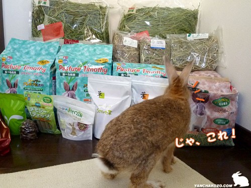これに決めた
