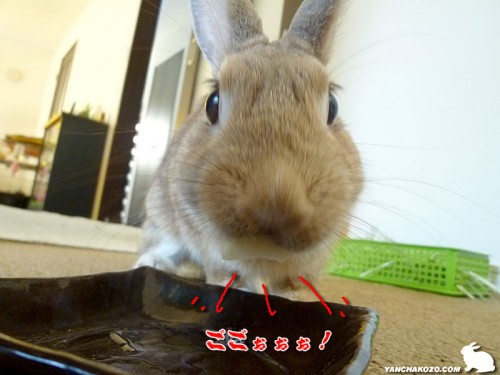 吸い込まれるリンゴ