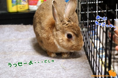 怒りモード