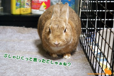 まだ怒りモード
