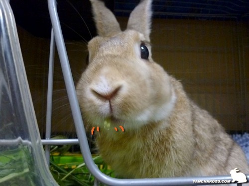 食事中