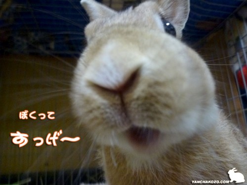 ぼくってすげー