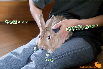 やっぱ・・・