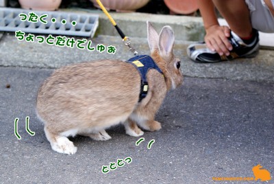 ったく・・・