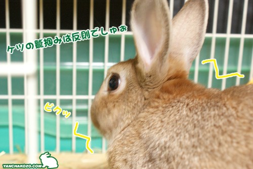 鷲掴み
