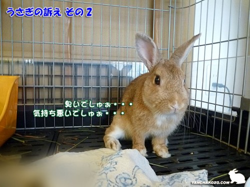 片付けよ