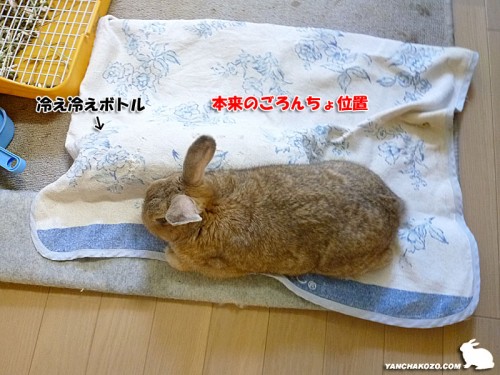 狭い所で