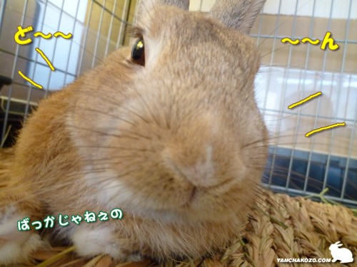 ばっかじゃねぇの