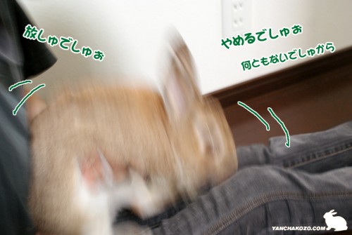 いやでしゅぉっ