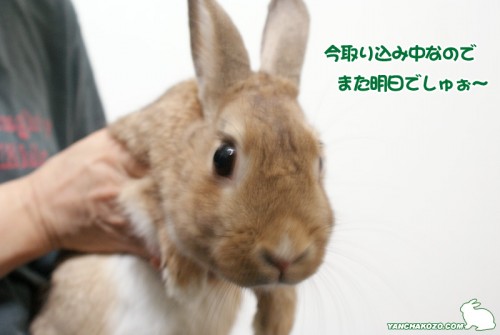仰向け反対!