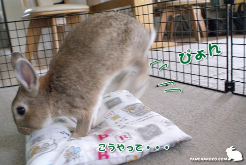 こうやって・・・その2